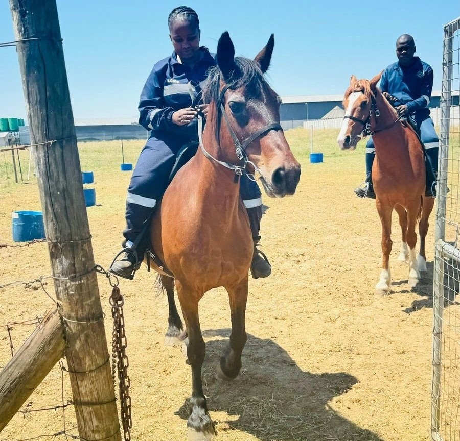 Equestrian Unit