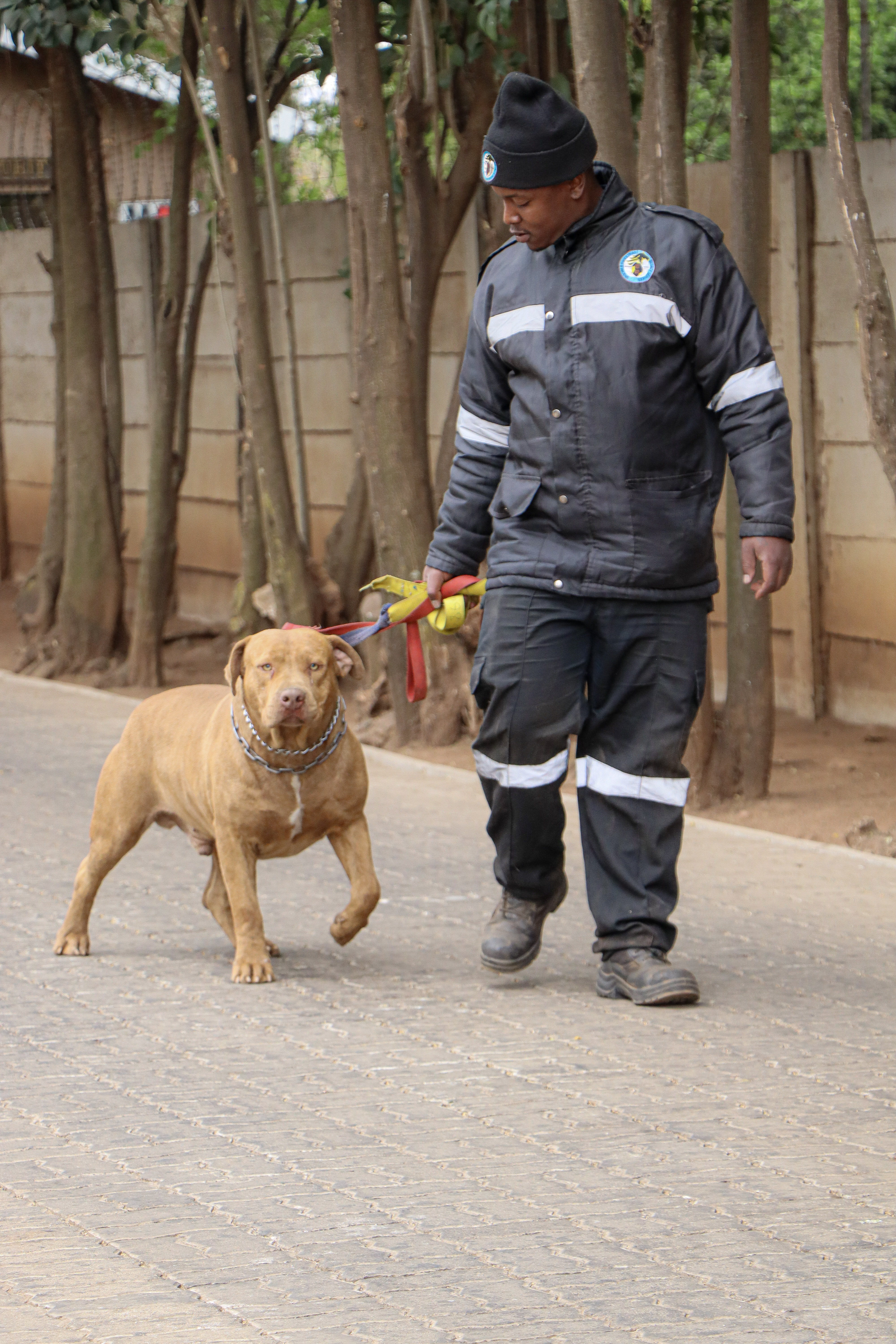 K9 Unit